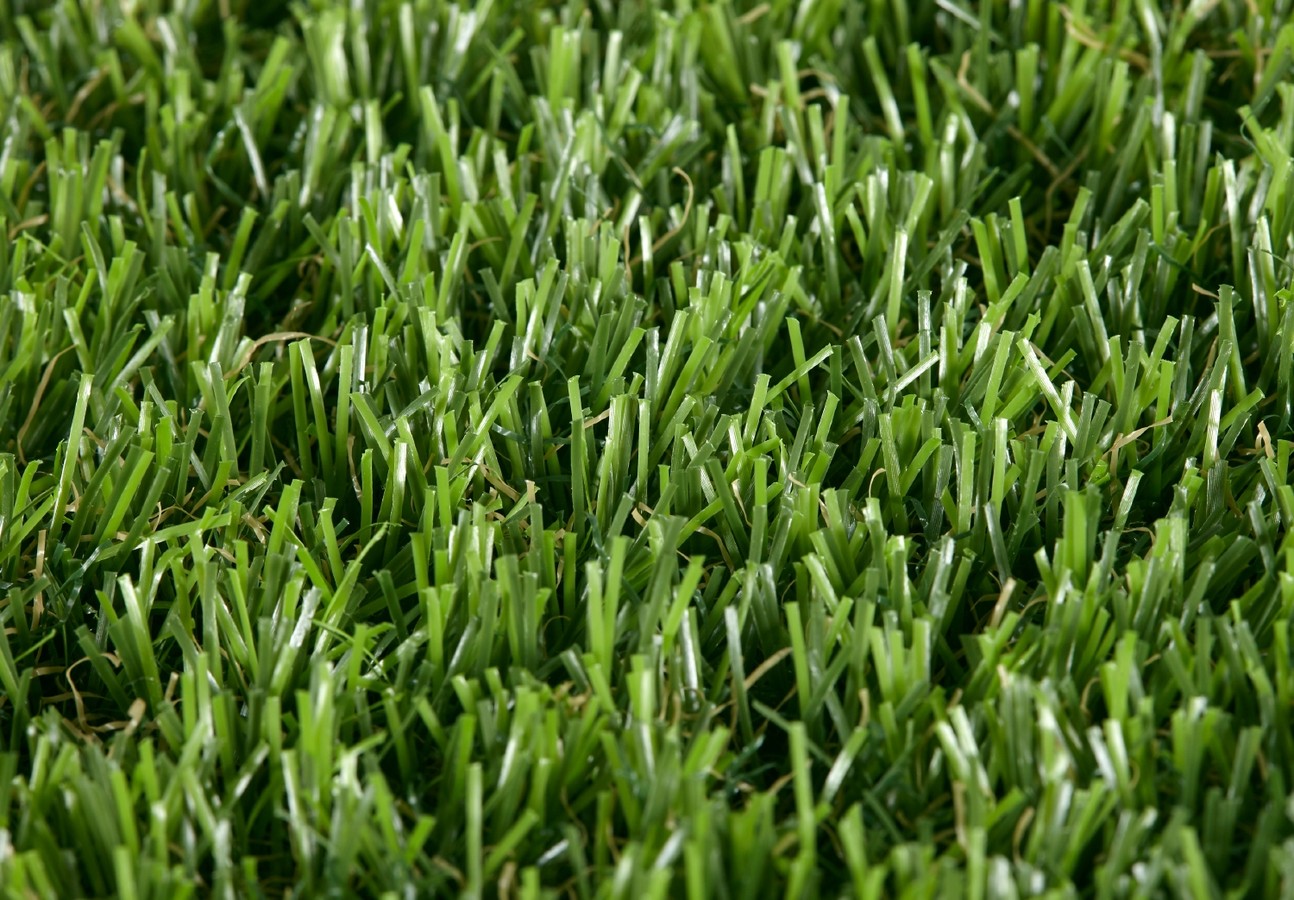 Poppy 35mm Grass