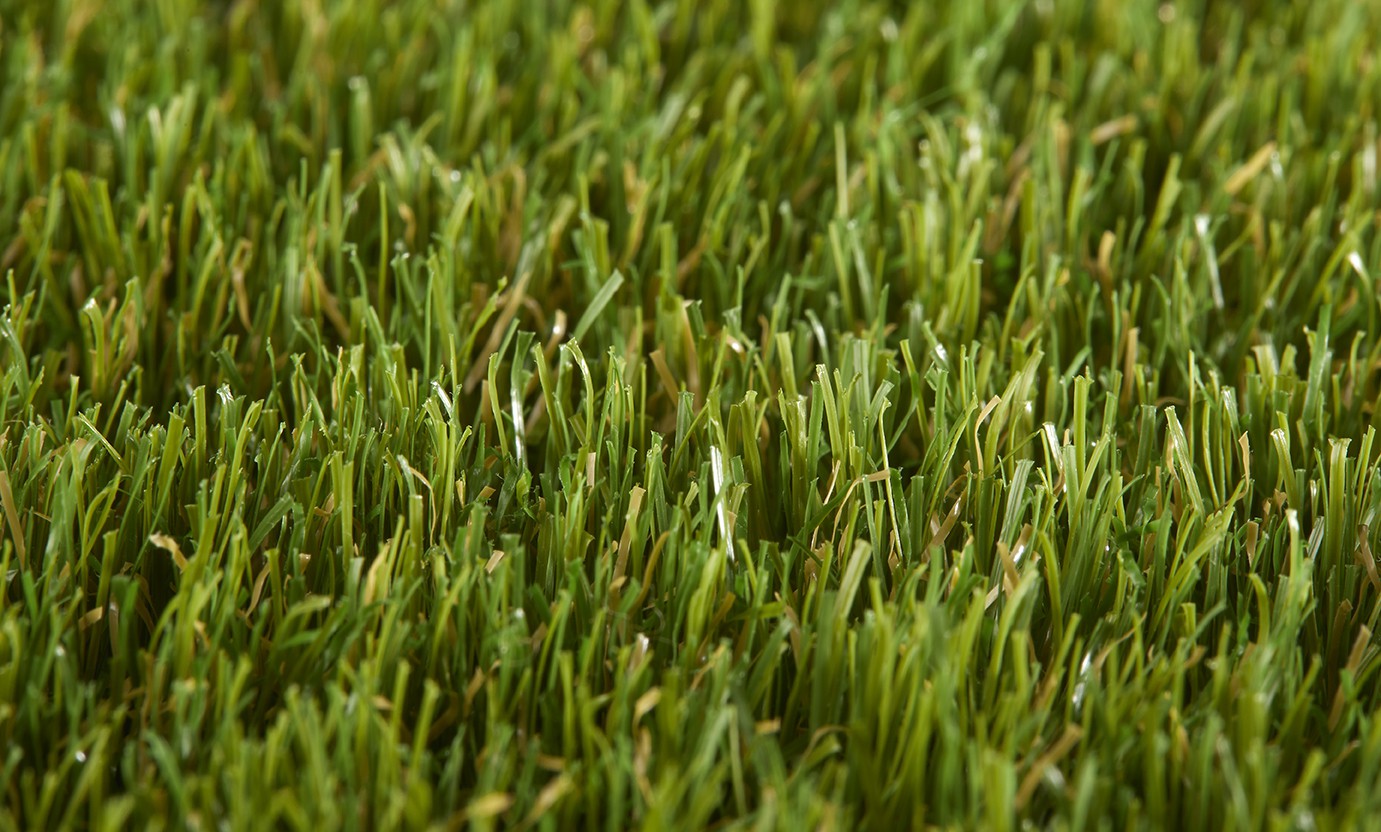 Daisy 40mm Grass