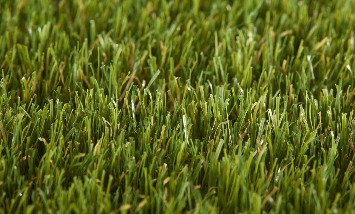 Daisy 40mm Grass Daisy 40mm Grass