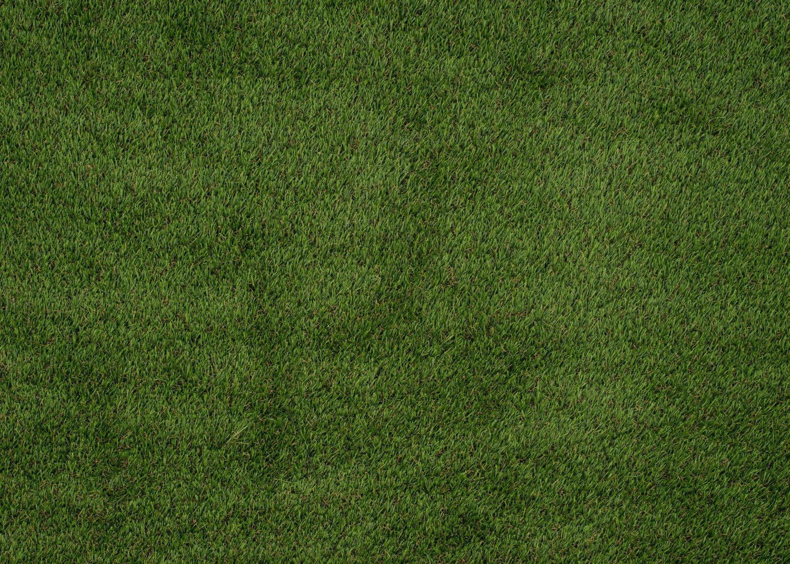 Goodwood 30mm Grass Goodwood 30mm Grass