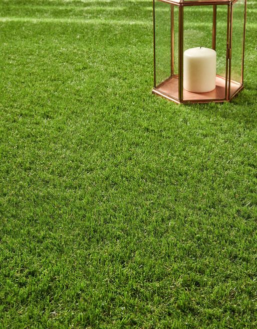 Pebble Beach 35mm Grass Pebble Beach 35mm Grass