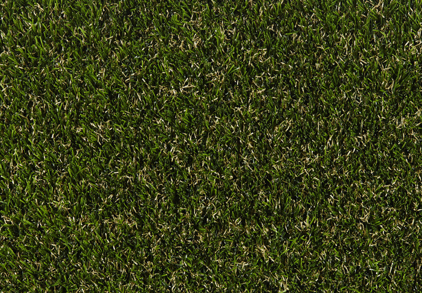 Rosemary 40mm Grass