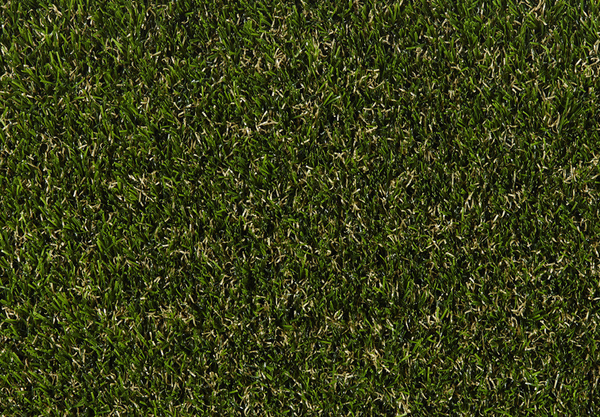 Rosemary 40mm Grass Rosemary 40mm Grass