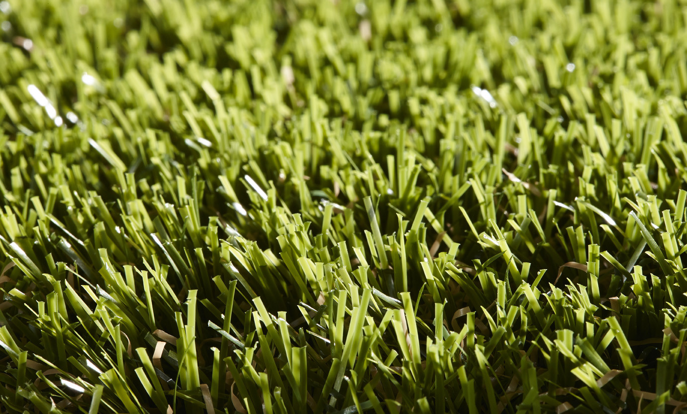 Rosemary 40mm Grass