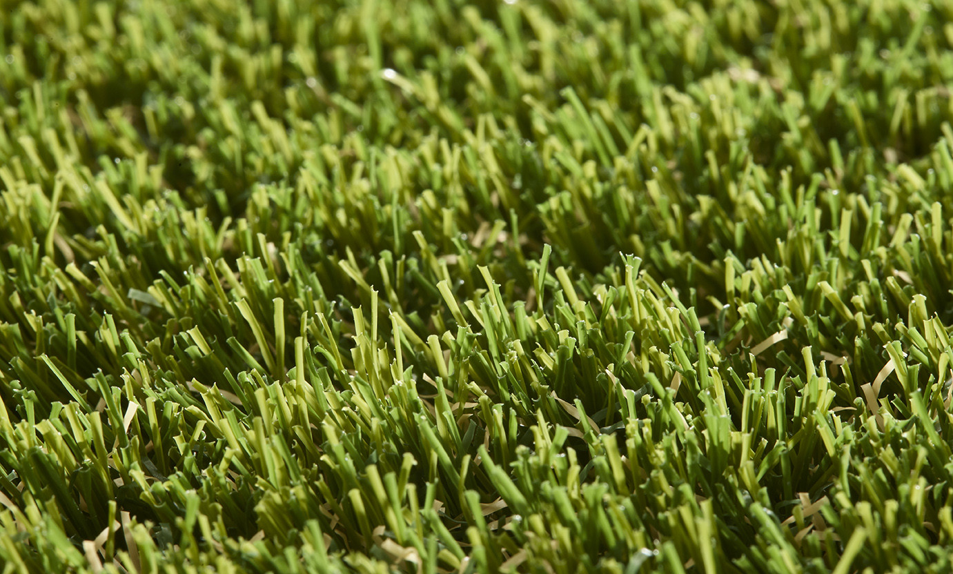 Valeria 40mm Grass Valeria 40mm Grass