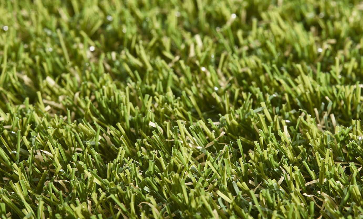 Vinca 30mm Grass Vinca 30mm Grass