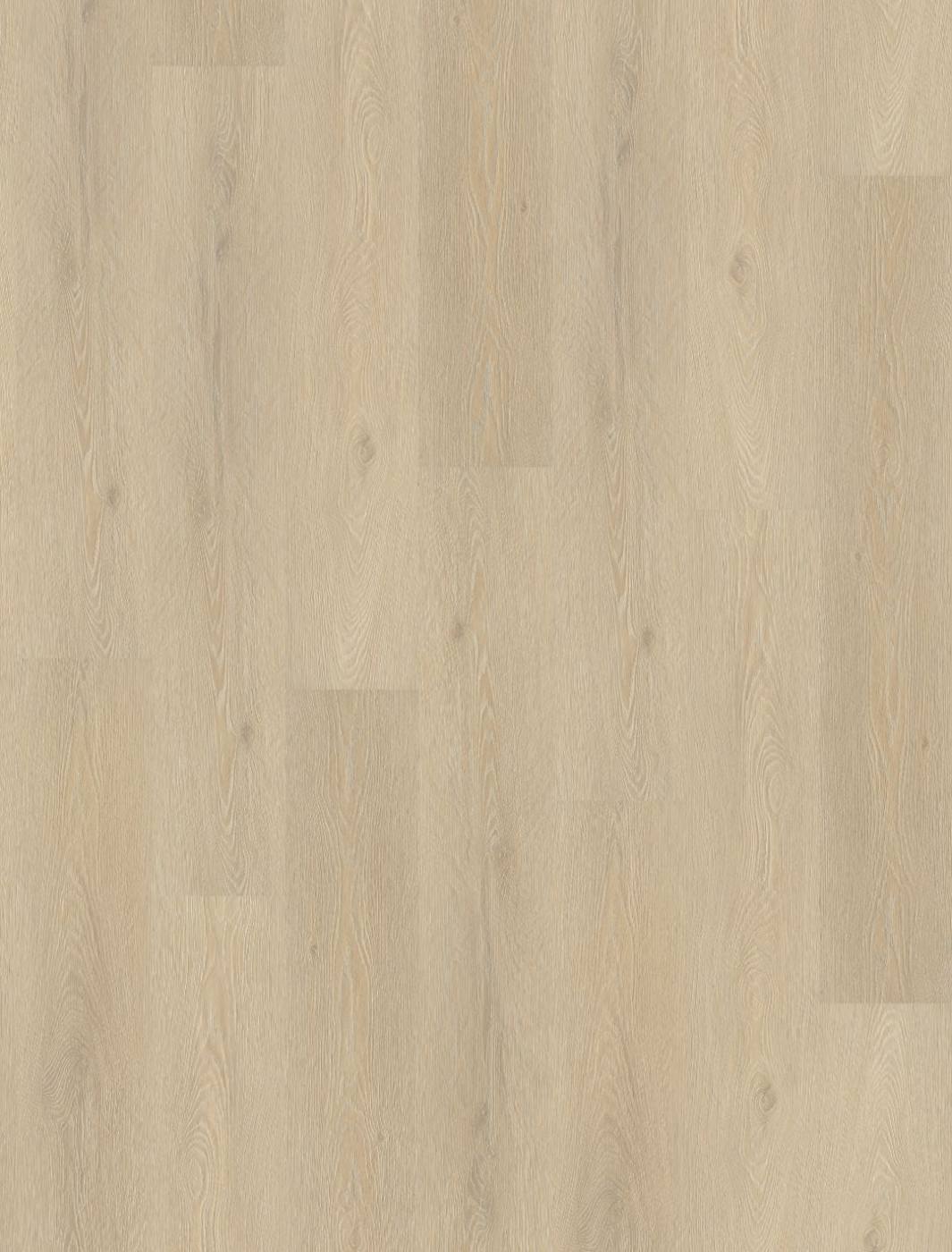 Denver Oak Denver Oak
