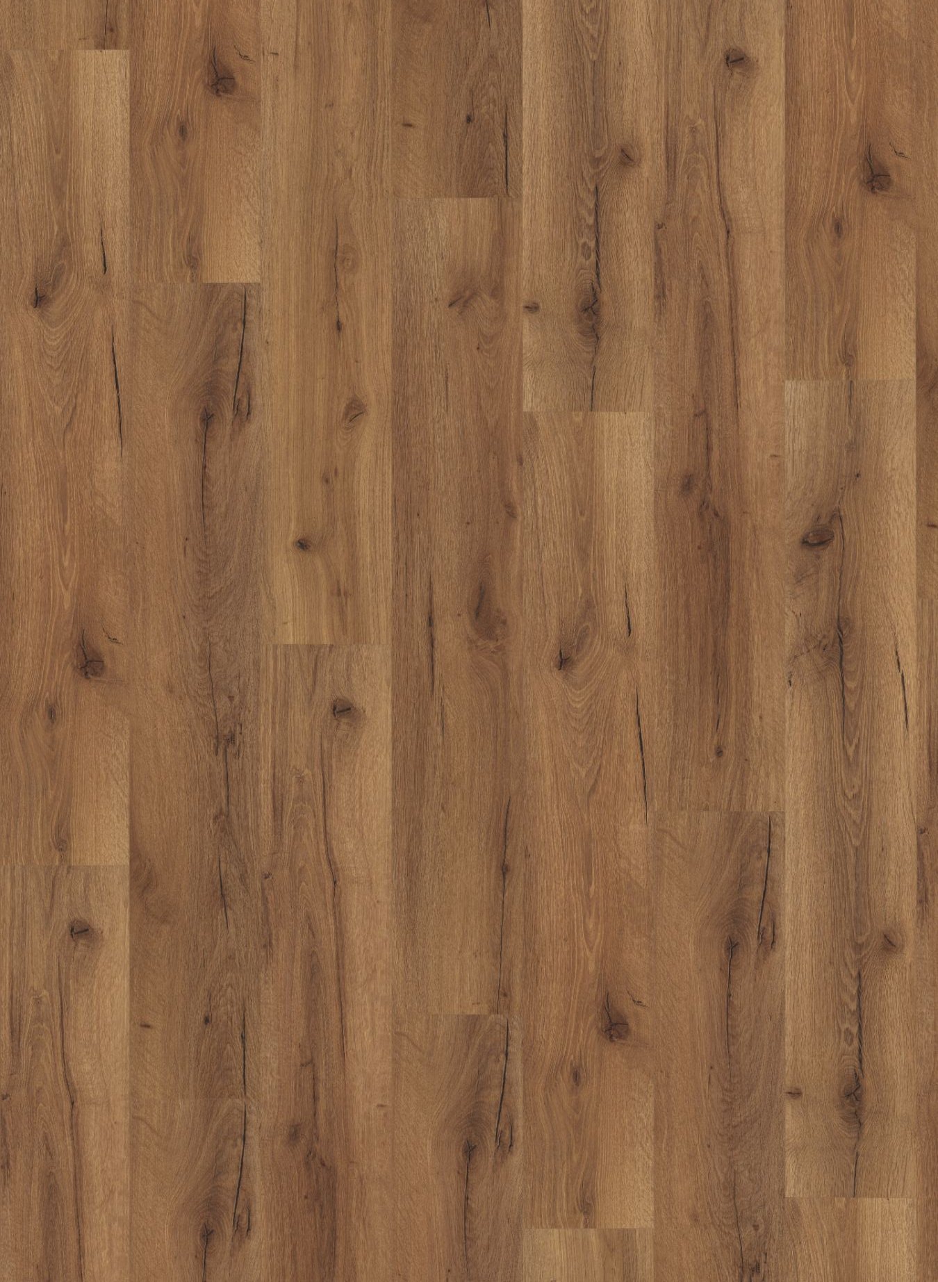 Robust Fumed Oak