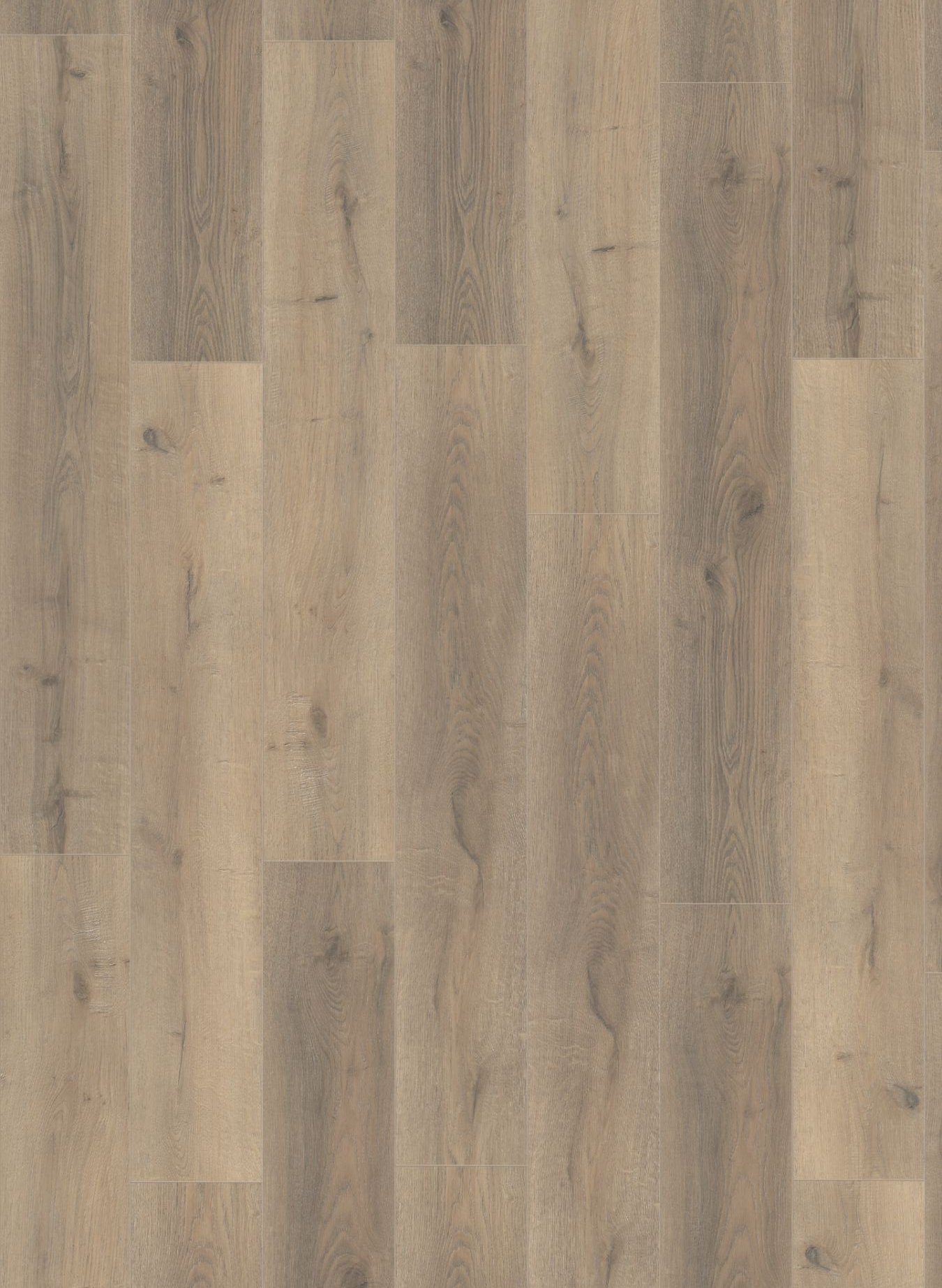 Greige Oak Greige Oak