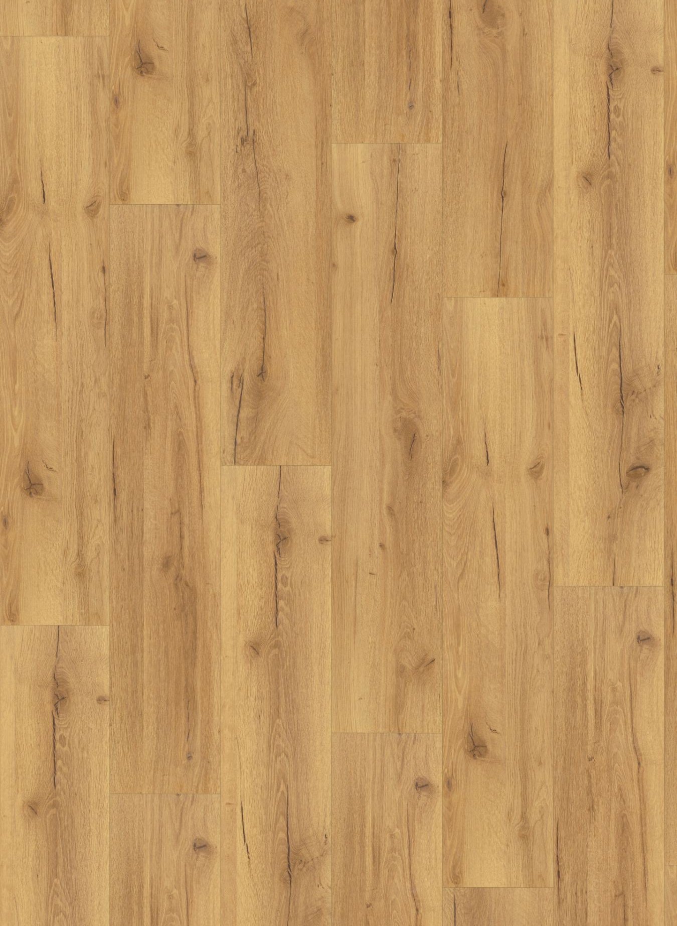 Robust Natural Oak