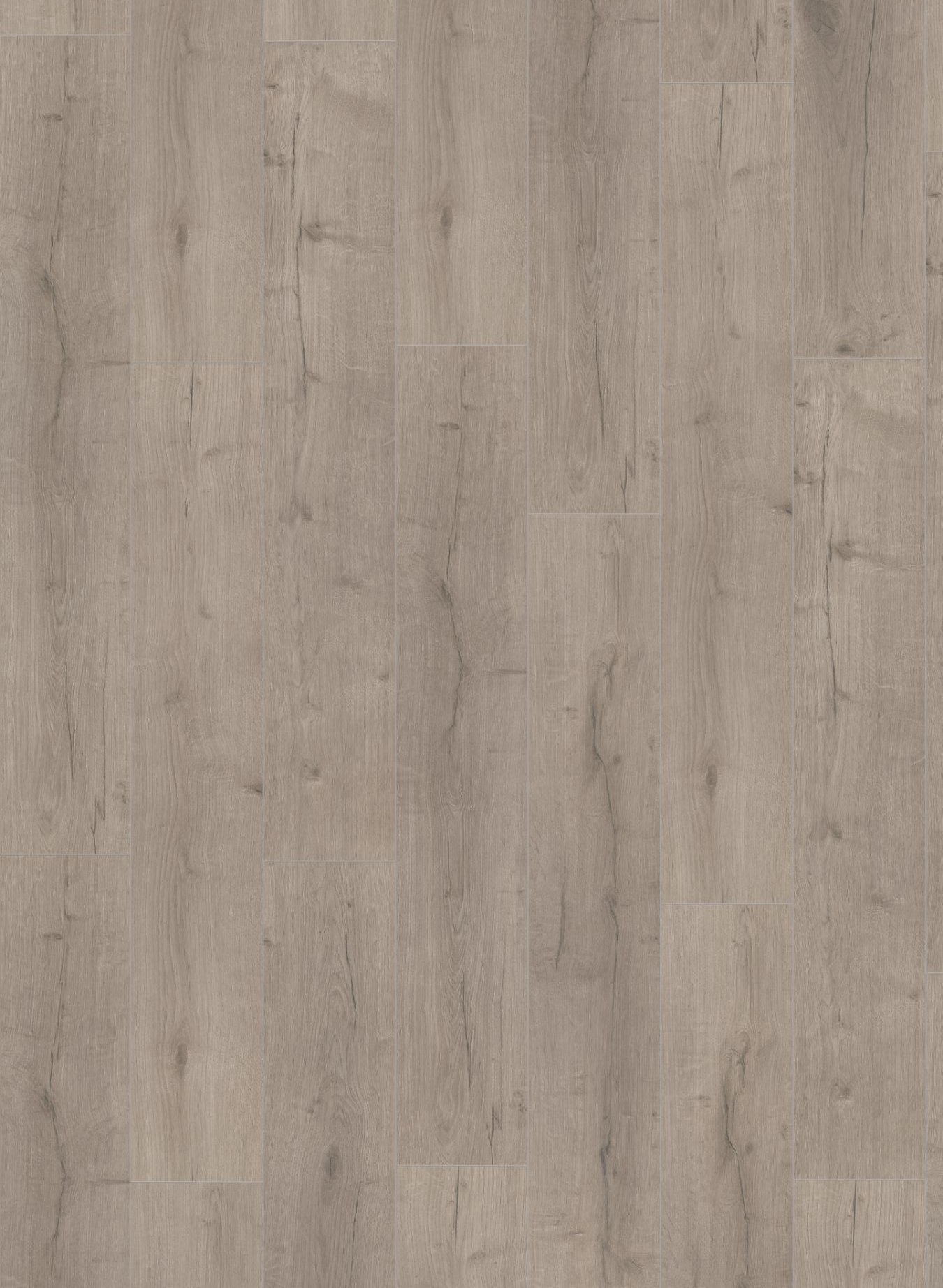 Robust Grey Oak