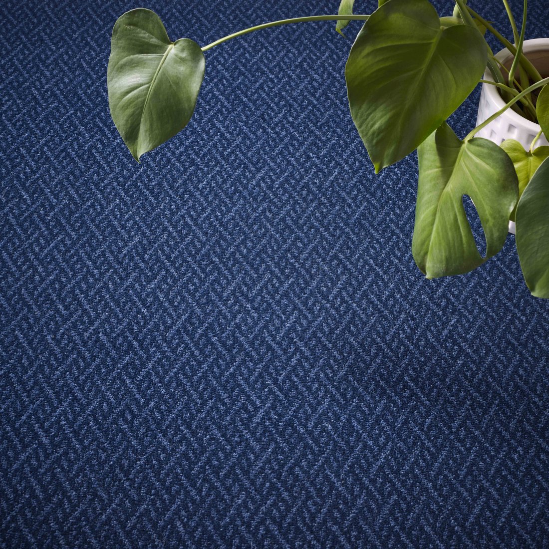 Durham Edition Pattern Wool Carpet - Marine