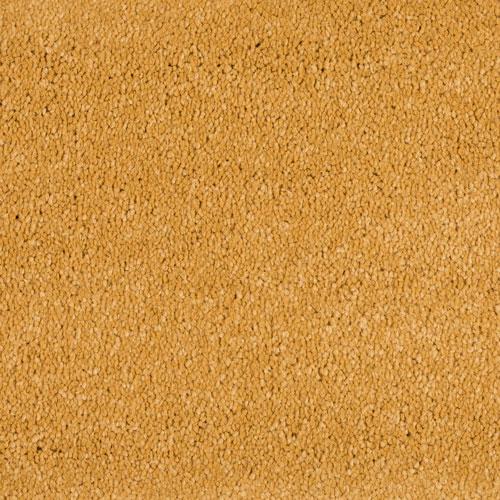 Prestige Classic Twist Carpet - Goldrush Prestige Classic Twist Carpet - Goldrush