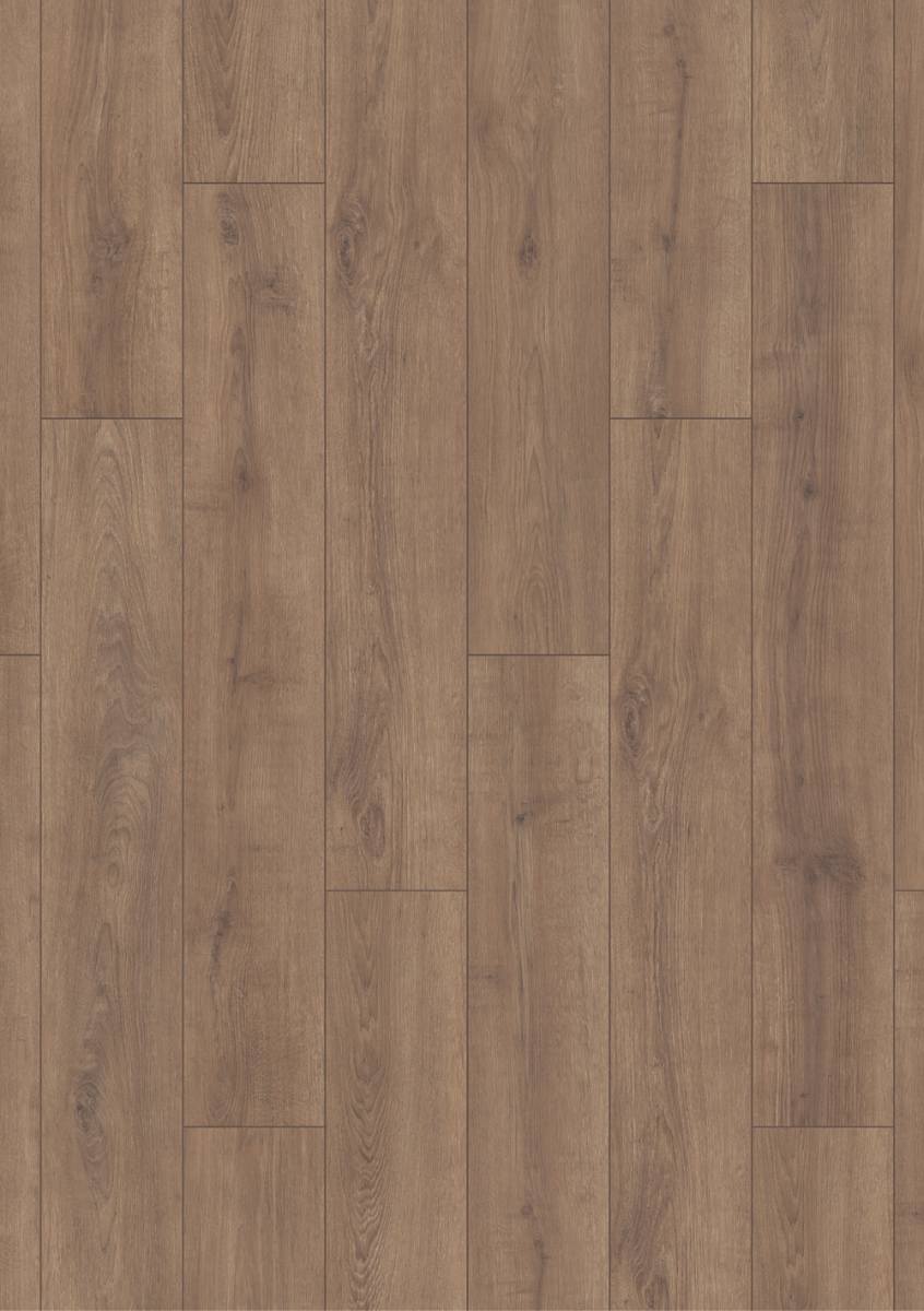 Clay Sola Oak