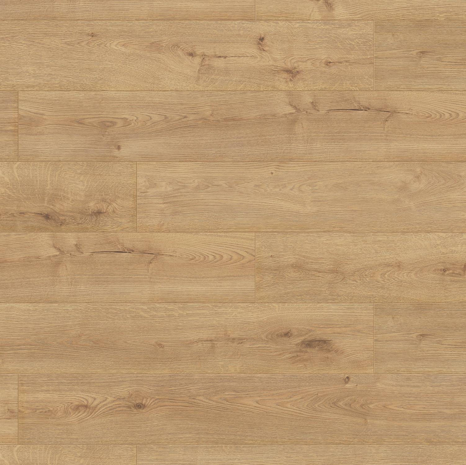 Sundance Oak Sundance Oak