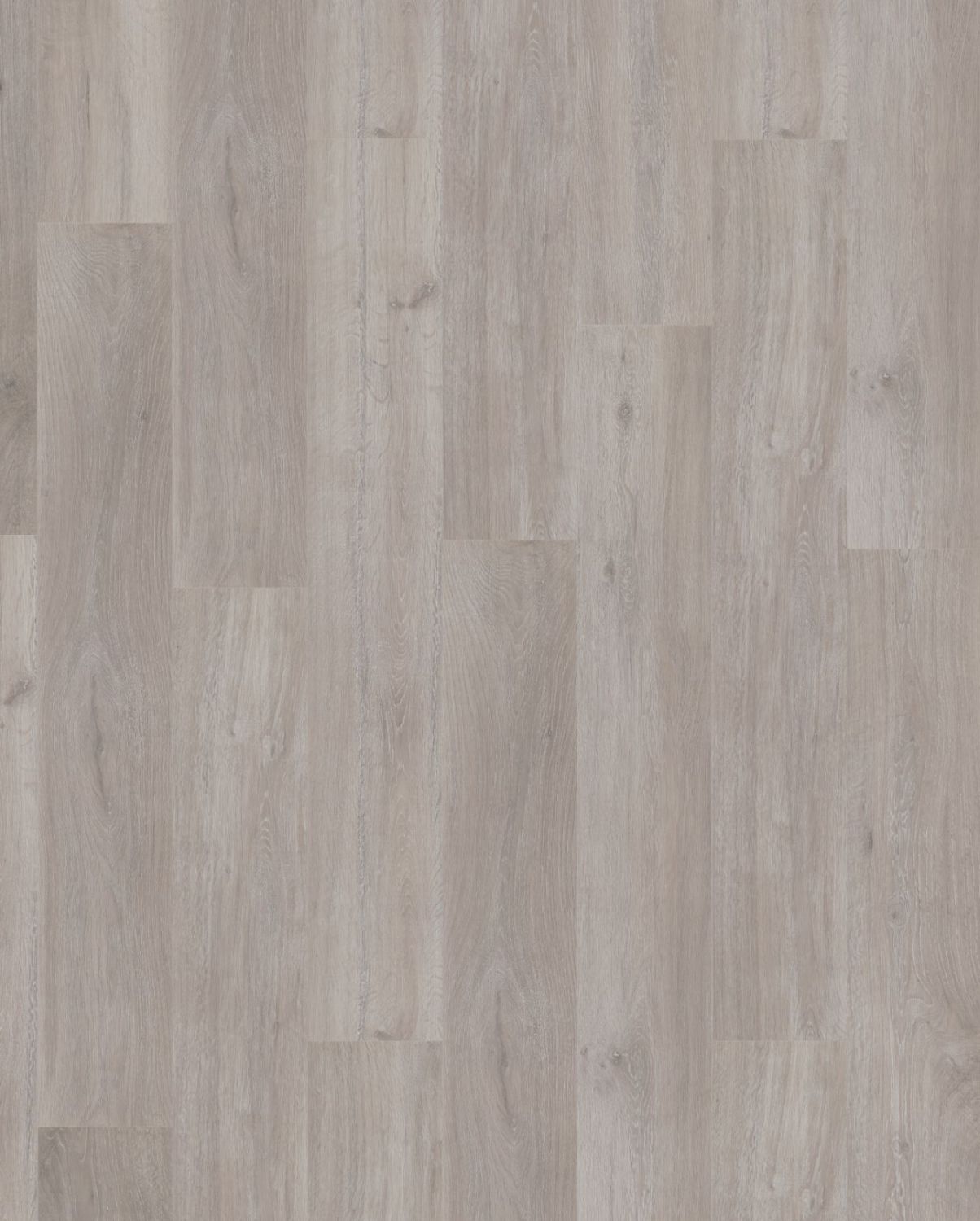 Rockford Oak Rockford Oak