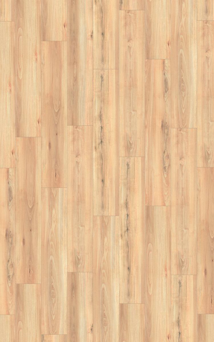 Exquisit Plus Beech Natural Exquisit Plus Beech Natural