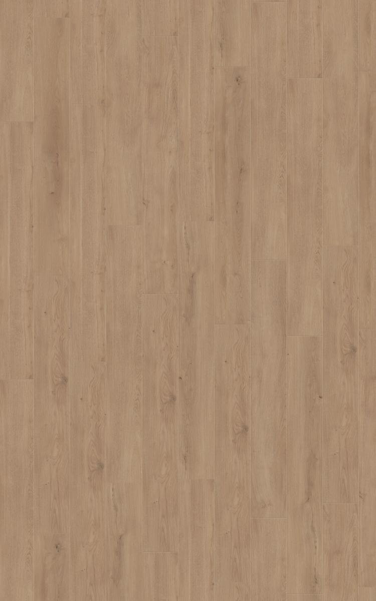 Exquisit Mistral Oak Beige Exquisit Mistral Oak Beige