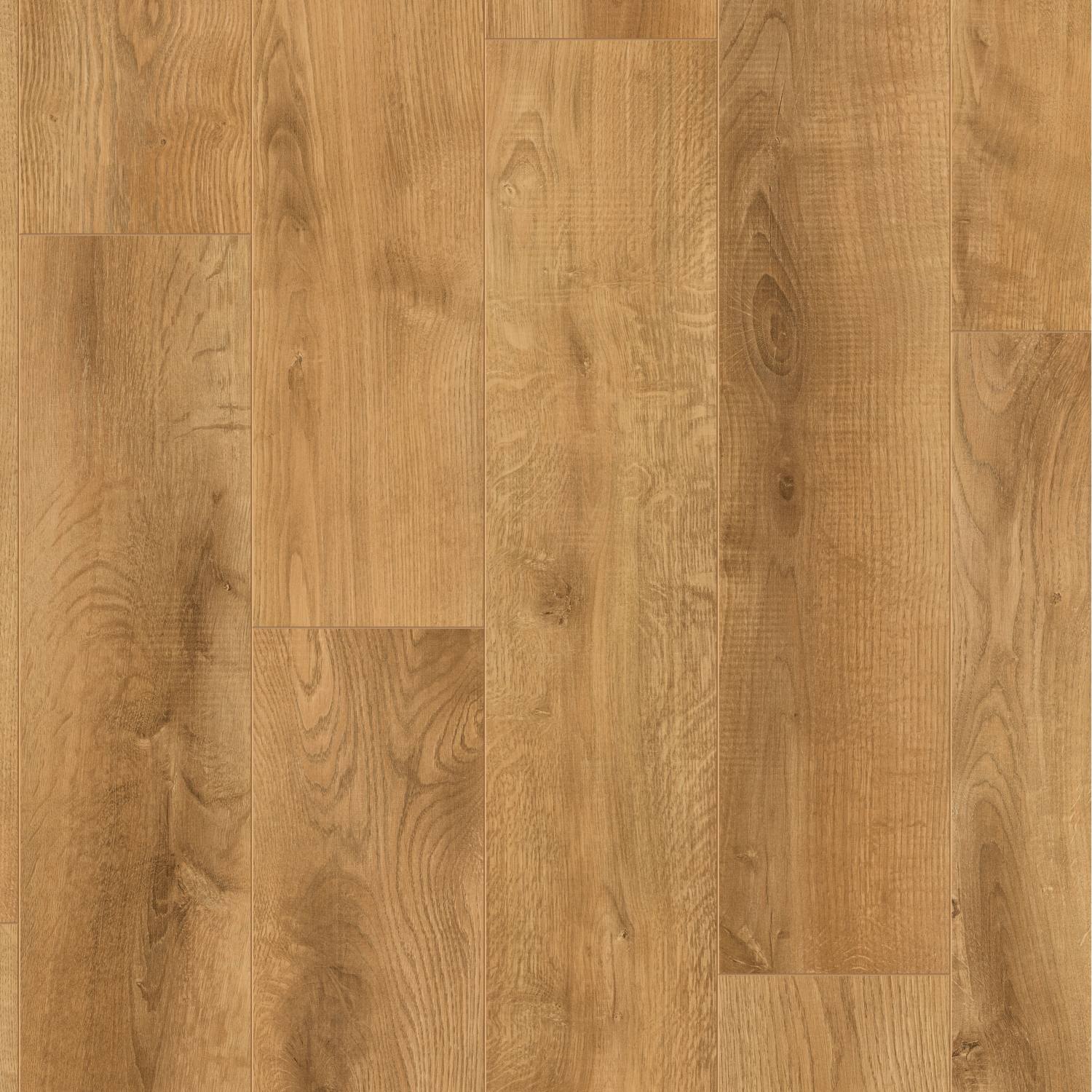 Avoca Oak