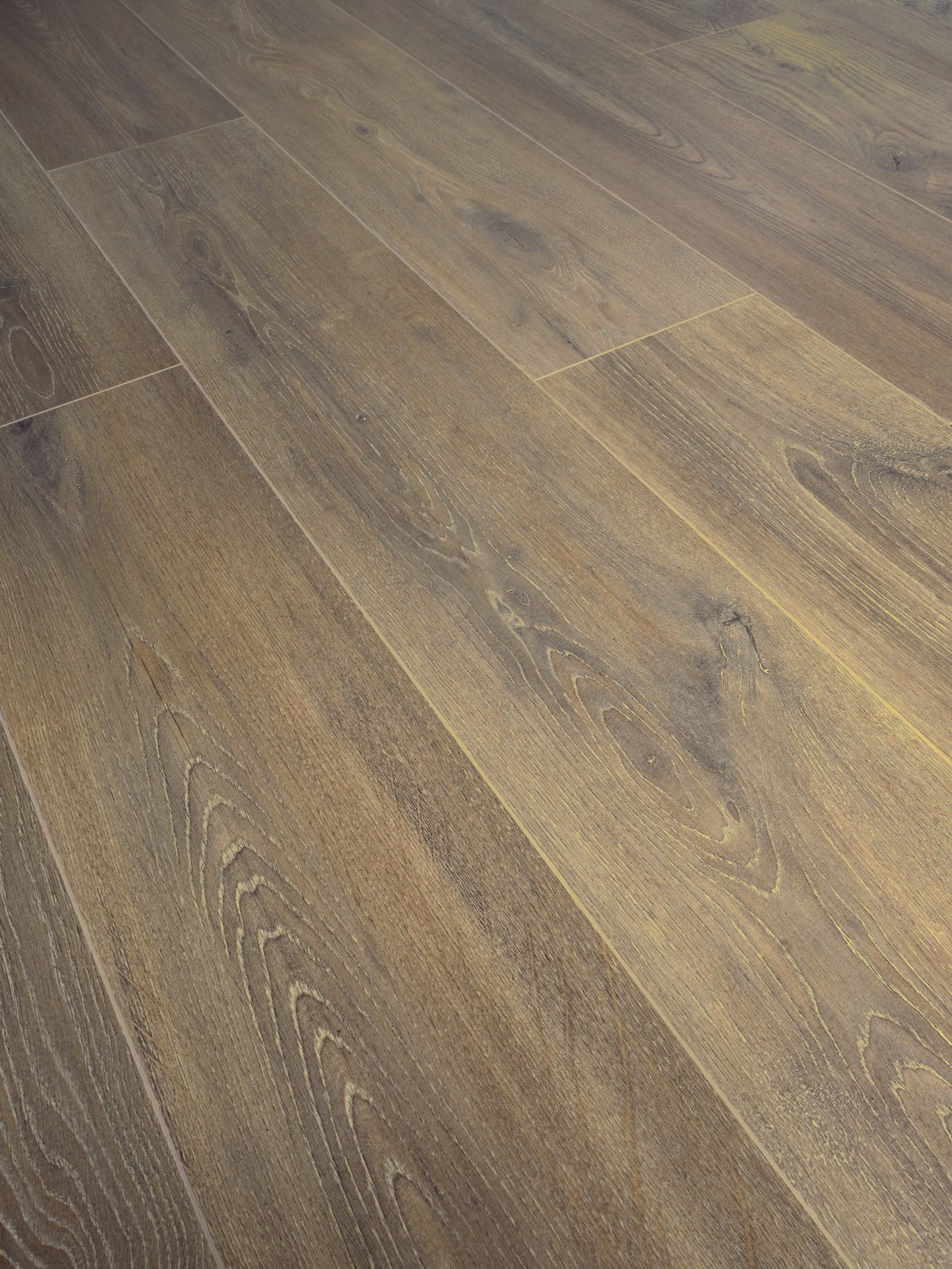Grand Selection Evolution Oak - Bronze Grand Selection Evolution Oak - Bronze