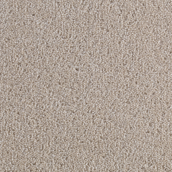 Latina Supreme Wool Twist Carpet - Blonde Latina Supreme Wool Twist Carpet - Blonde