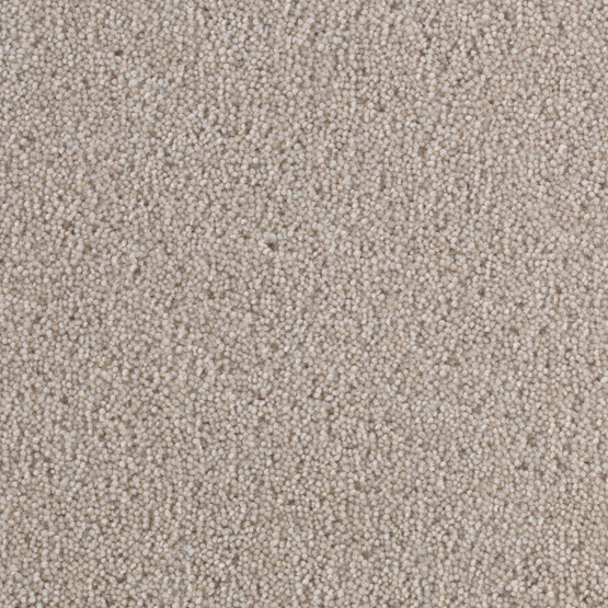 Latina Supreme Wool Twist Carpet - Blonde