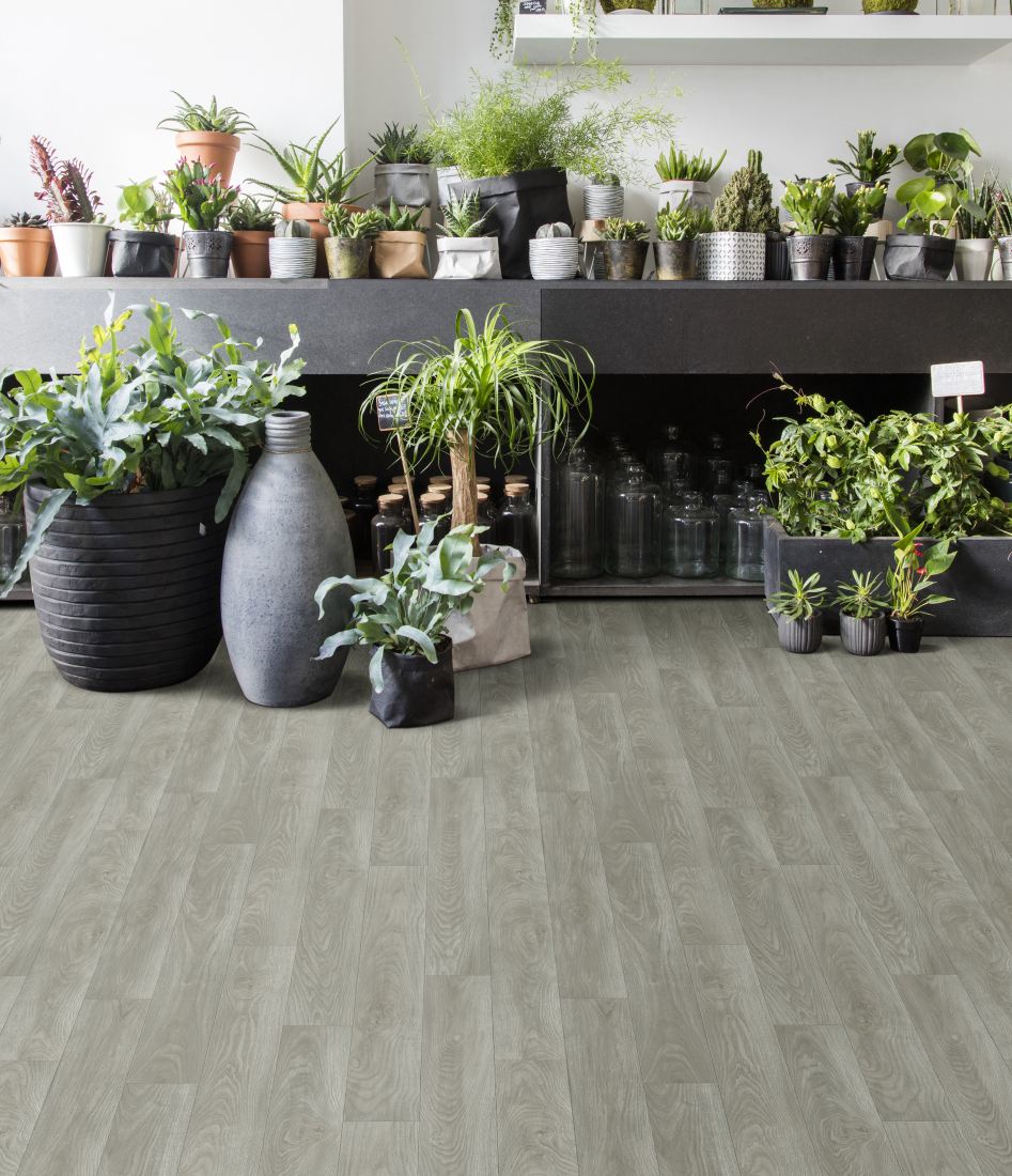 Lincoln Vinyl - Salt Creek Lincoln Vinyl - Salt Creek