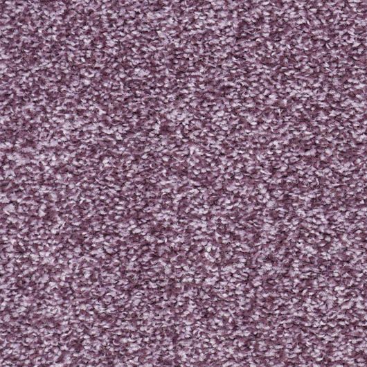Living in Harmony Saxony Carpet - Amethyst 781 Living in Harmony Saxony Carpet - Amethyst 781