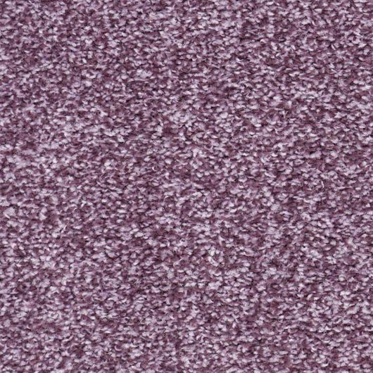 Living in Harmony Saxony Carpet - Amethyst 781