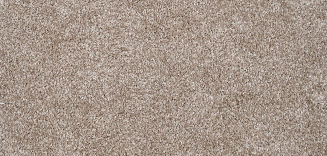 Living in Harmony Saxony Carpet - Peat 784 Living in Harmony Saxony Carpet - Peat 784