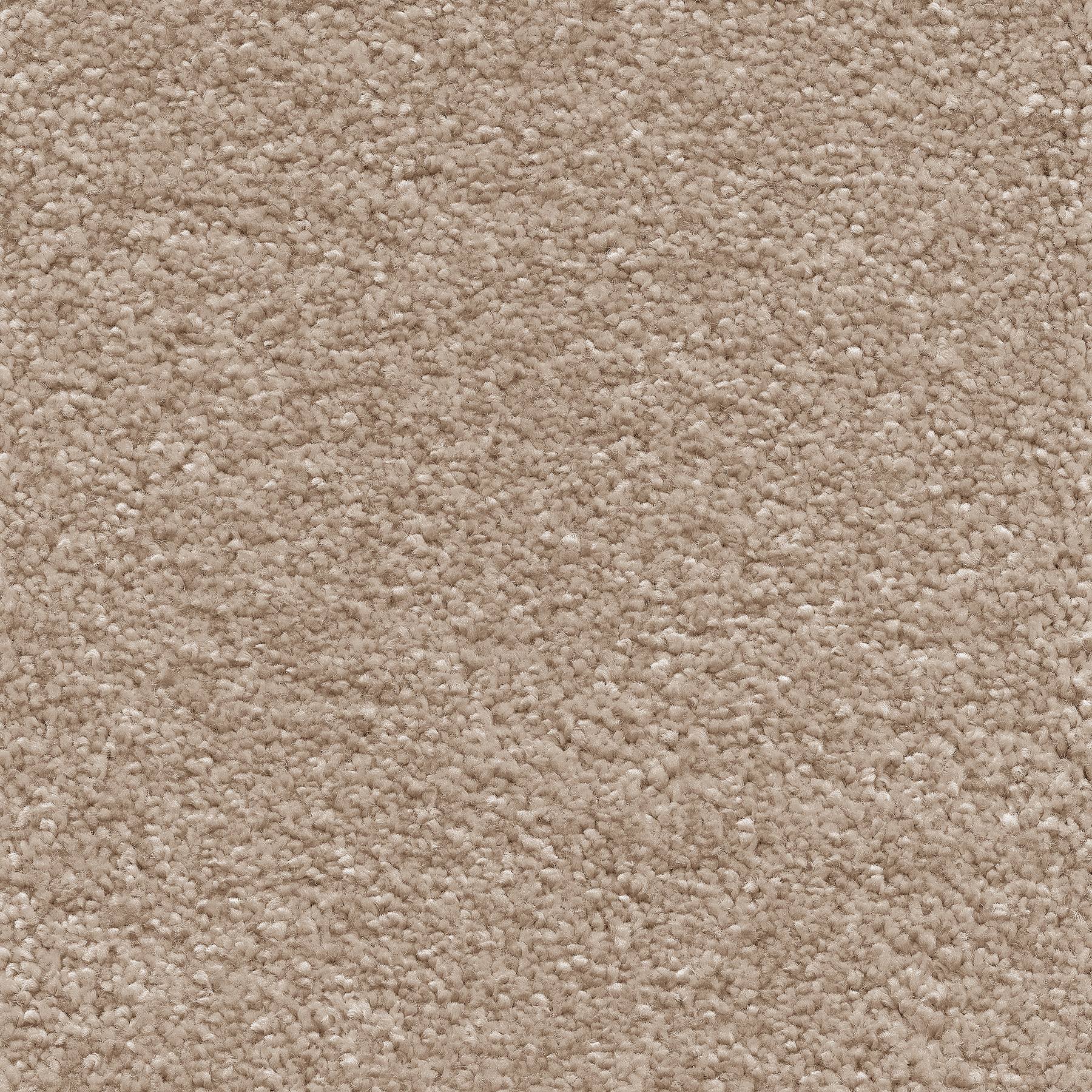 Stockholm Plains Saxony Carpet - 37 French Beige