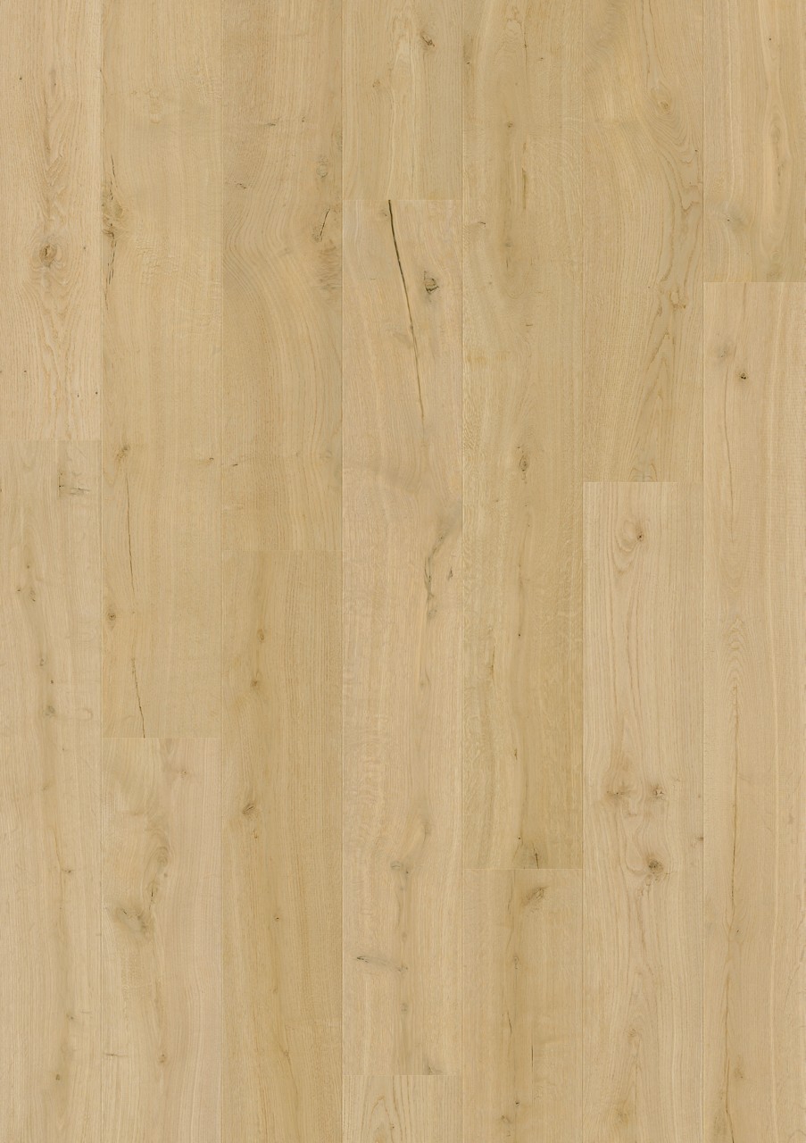 Impressive Cotton Oak
