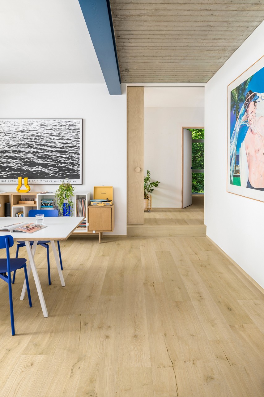Impressive Cotton Oak