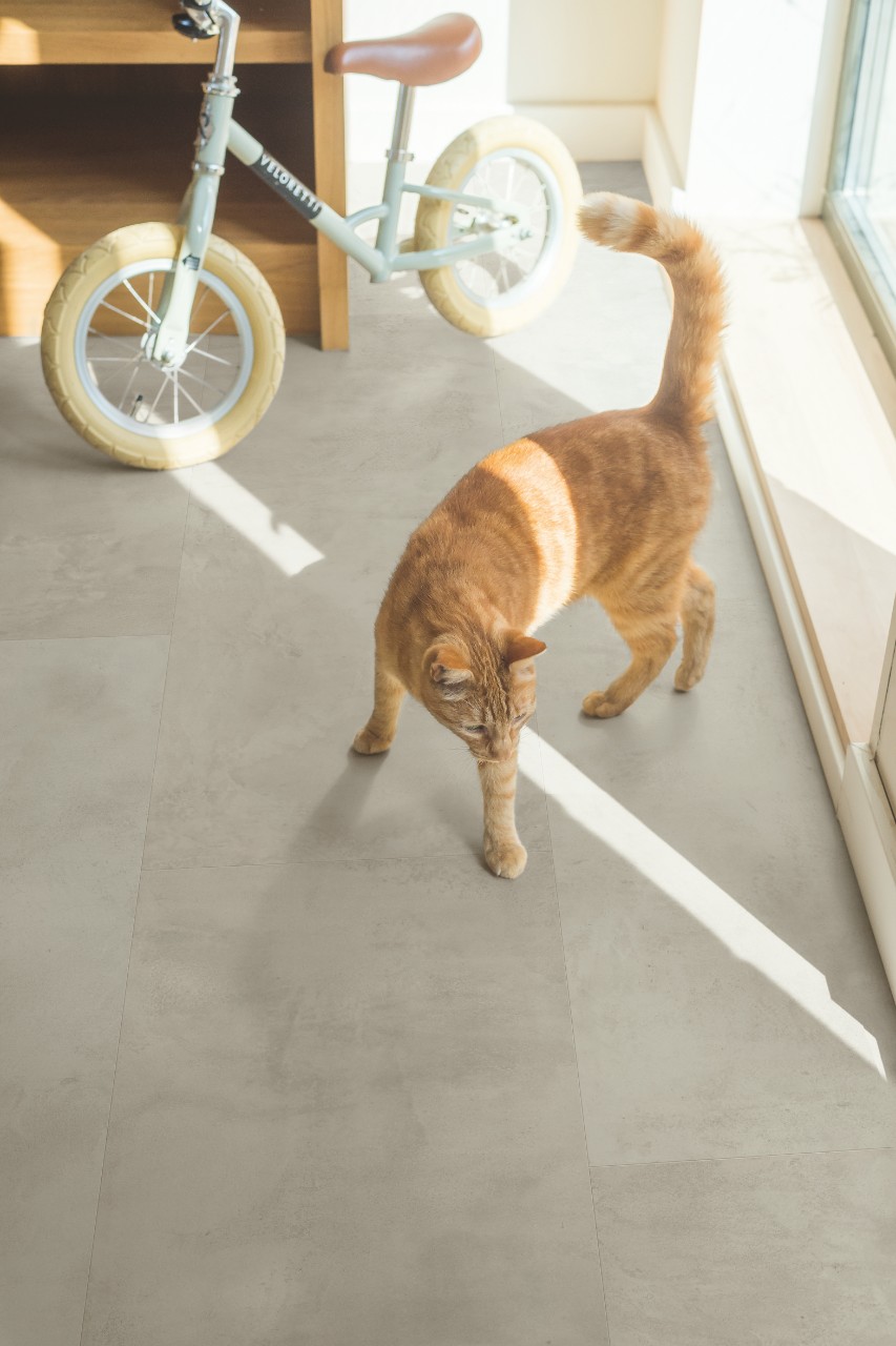Muse Tile - Grey Concrete Muse Tile - Grey Concrete