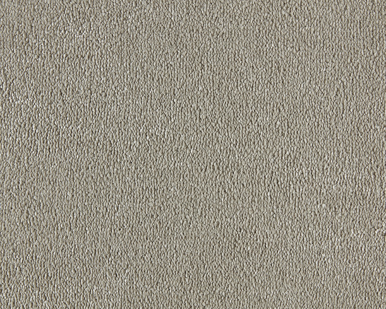Sweet Dreams Saxony Carpet - 230 Flax Sweet Dreams Saxony Carpet - 230 Flax