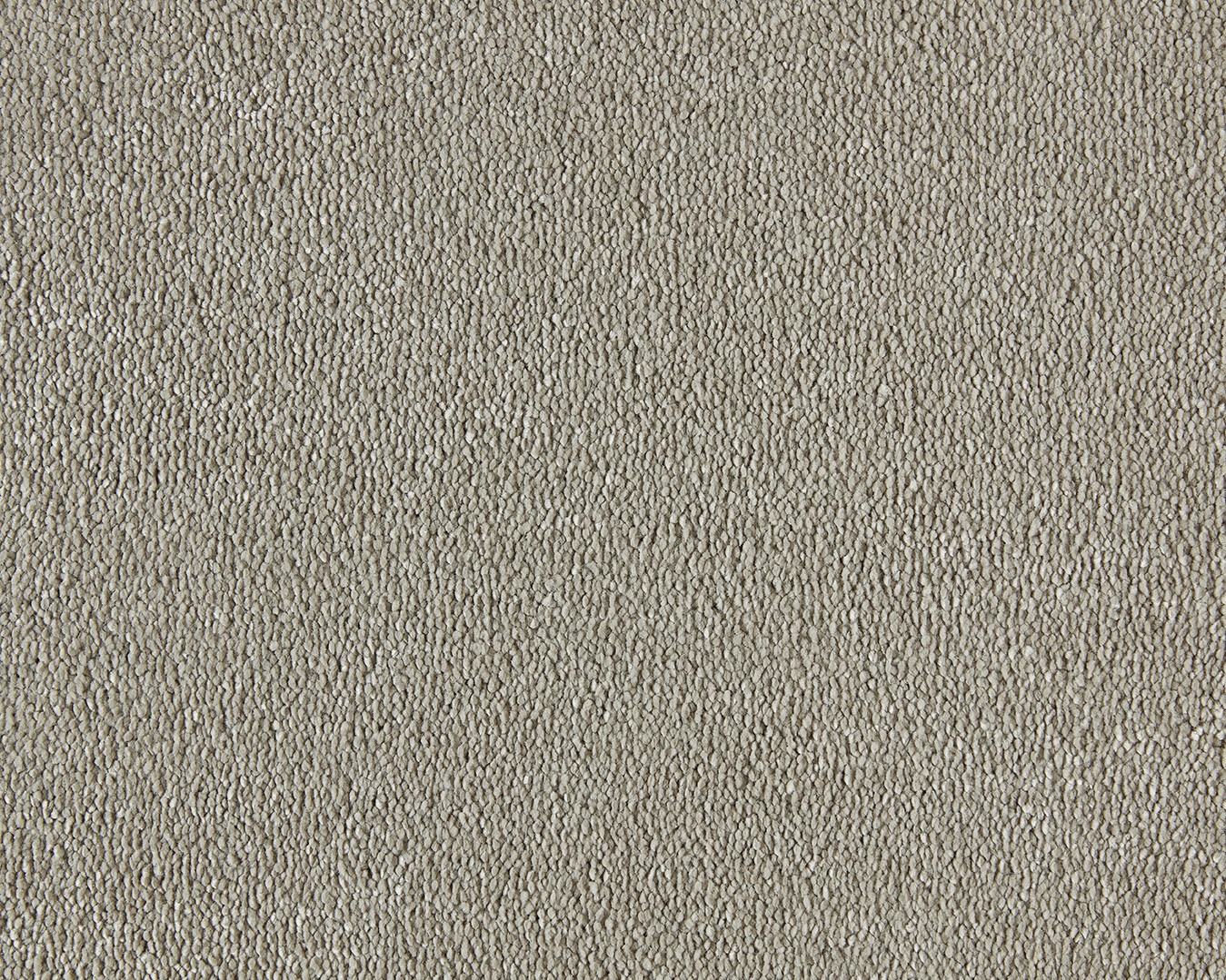 Sweet Dreams Saxony Carpet - 230 Flax