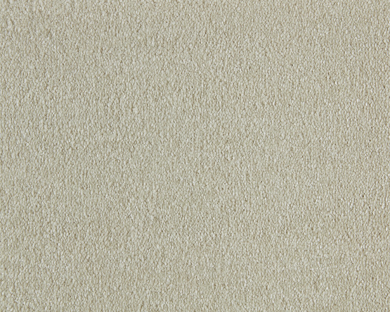 Sweet Dreams Saxony Carpet - 440 Ivory Sweet Dreams Saxony Carpet - 440 Ivory
