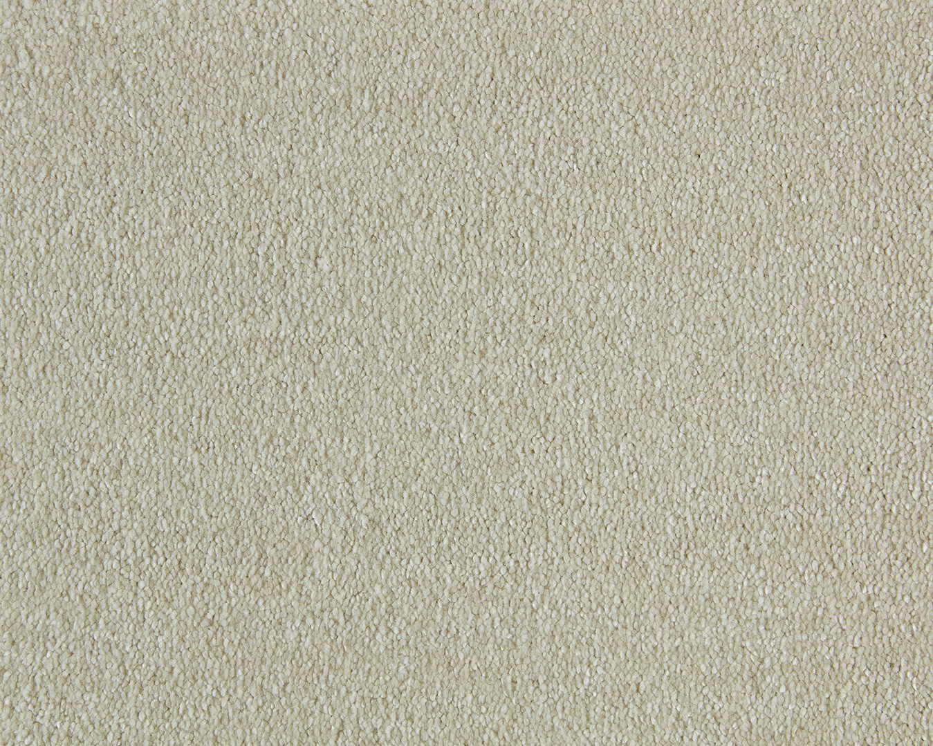 Sweet Dreams Saxony Carpet - 440 Ivory