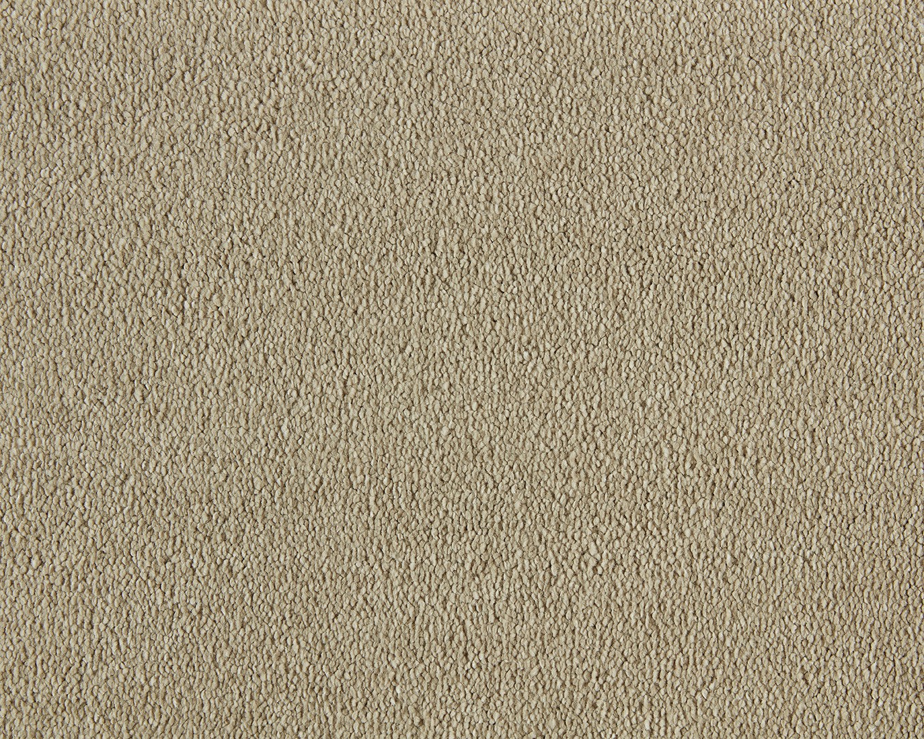 Sweet Dreams Saxony Carpet - 450 Sand