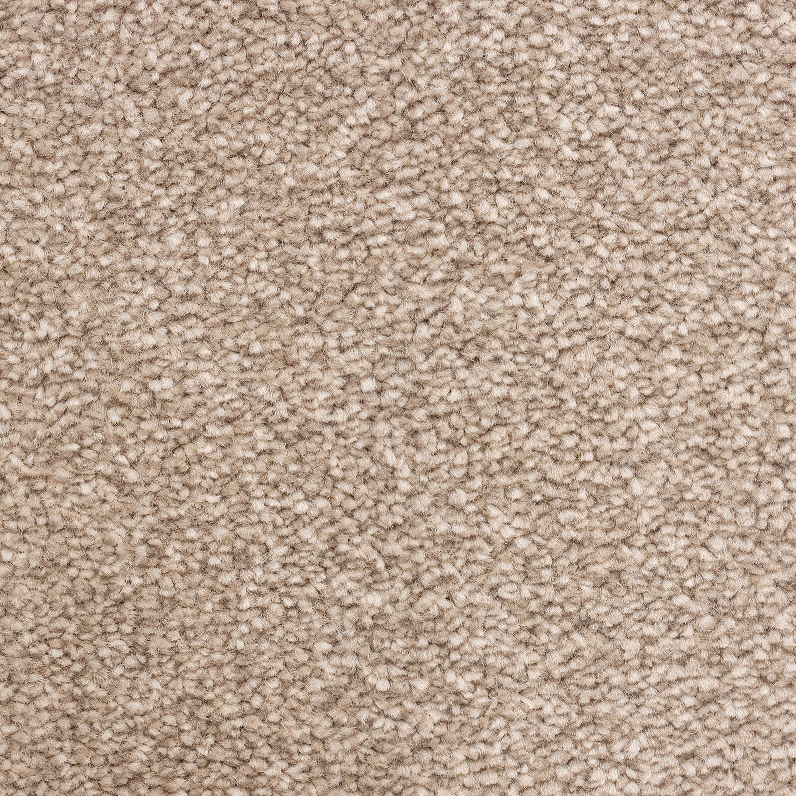 Auckland Saxony Carpet - 172 Cashmere
