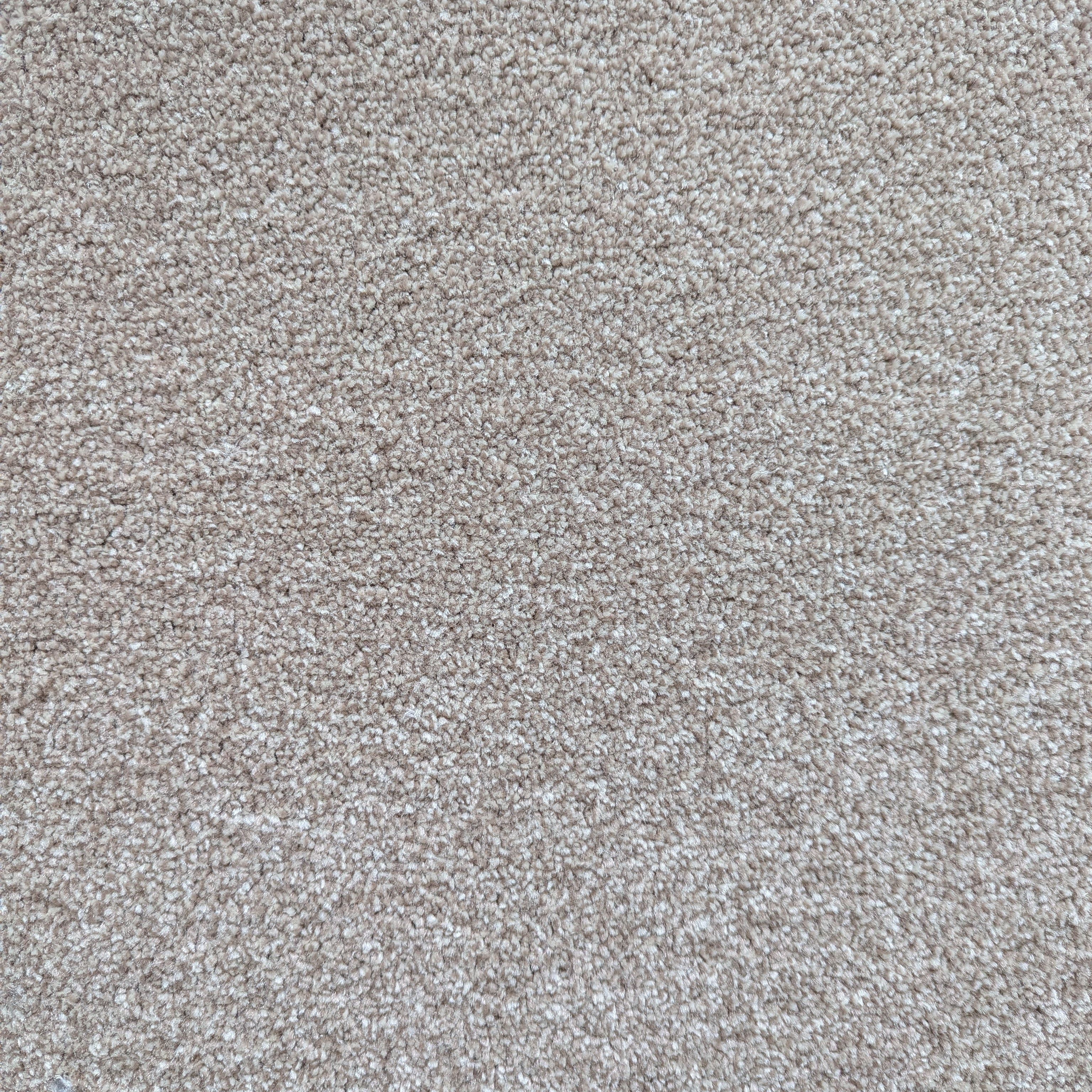 Auckland Saxony Carpet - 272 Nutmeg