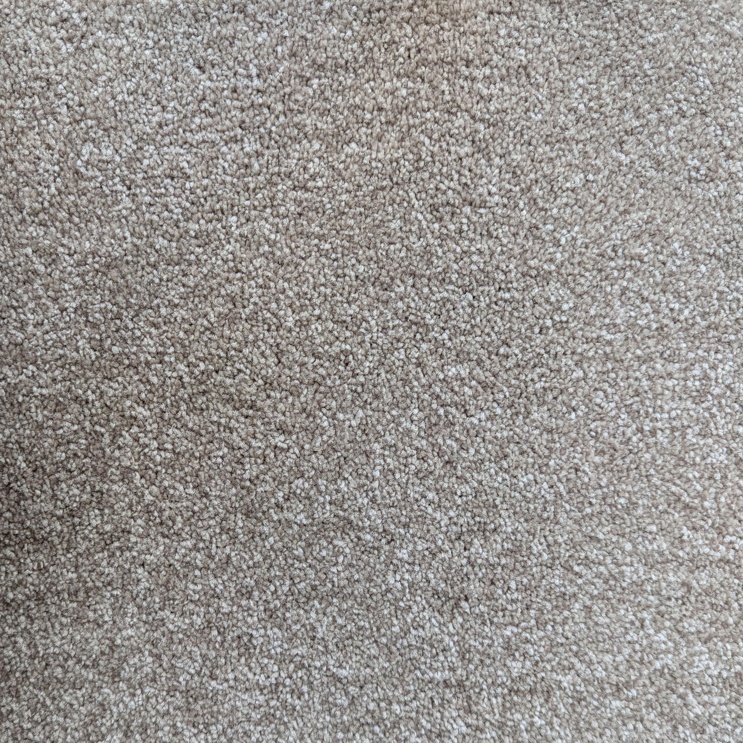 Auckland Saxony Carpet - 273 Mushroom