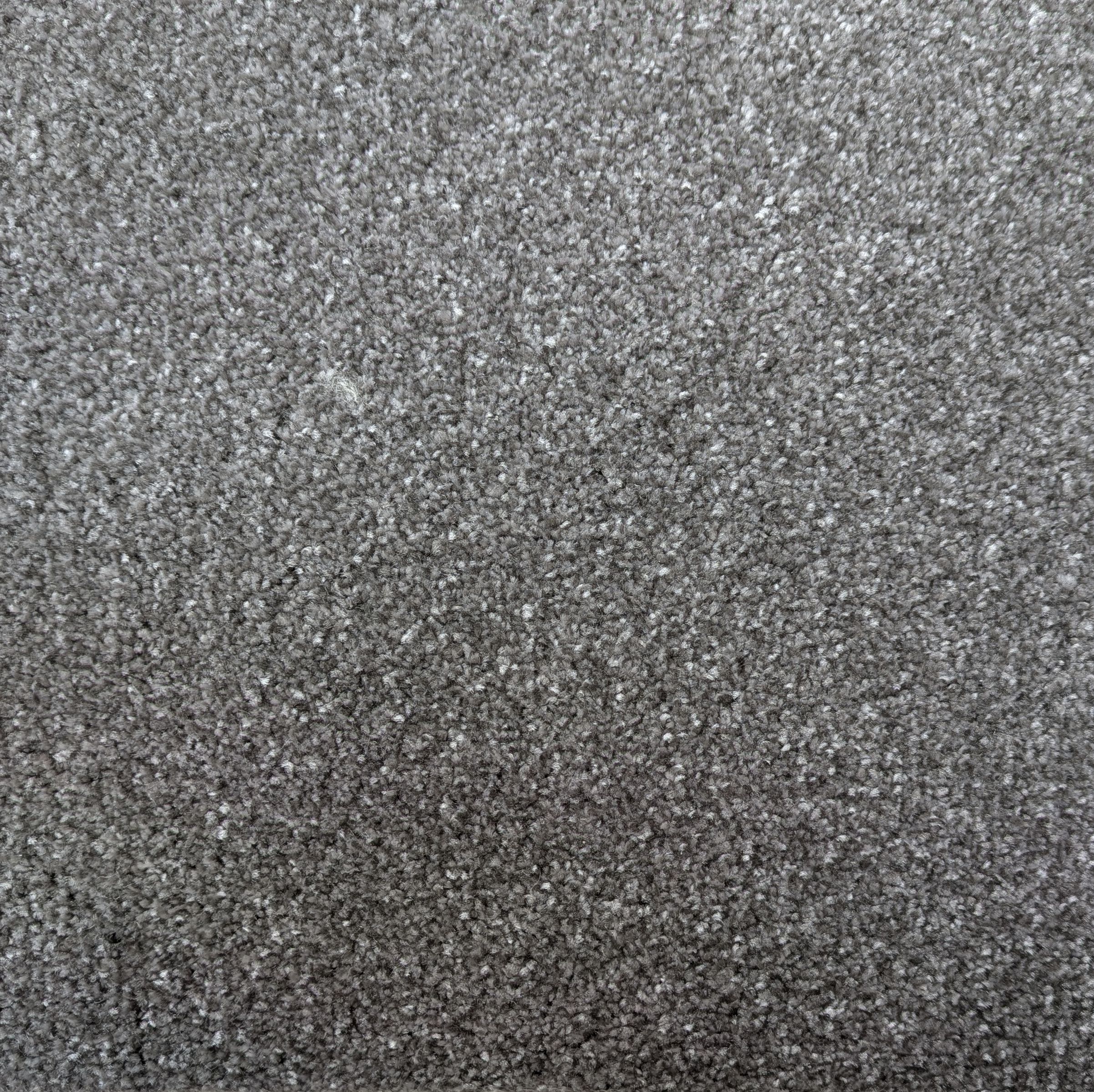 Auckland Saxony Carpet - 275 Pebbles