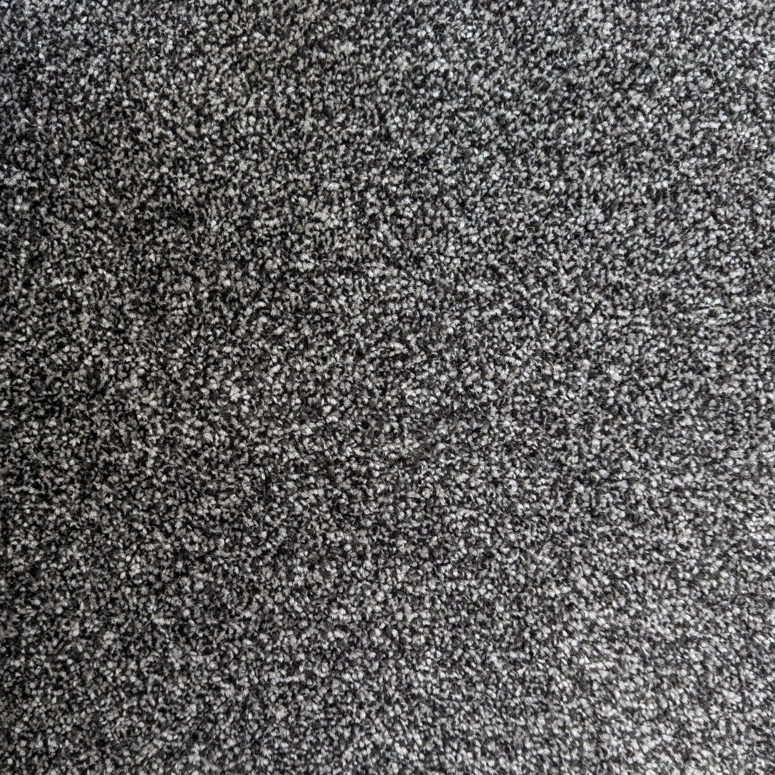 Auckland Saxony Carpet - 278 Basalt