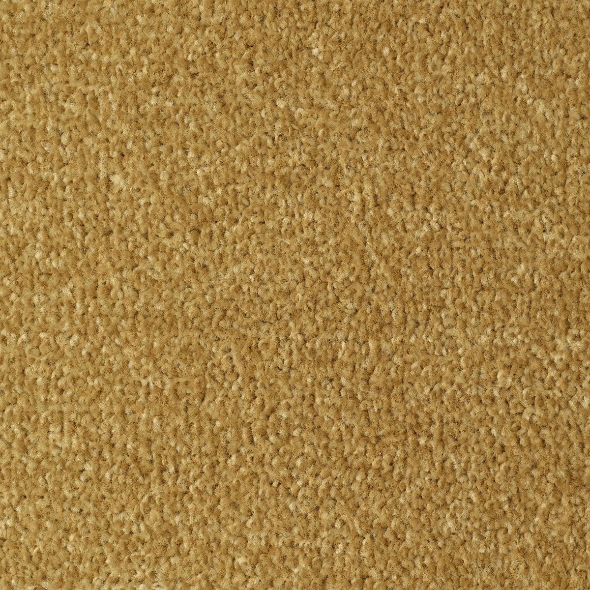 Bexhill Twist Carpet -  Gold