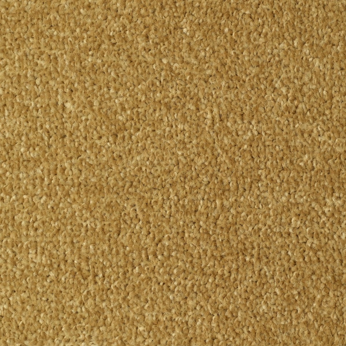 Bexhill Twist Carpet - Gold Bexhill Twist Carpet - Gold
