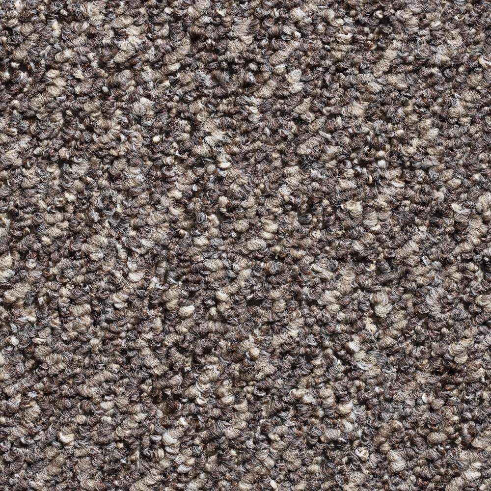 Bonanza Loop Pile Pattern Carpet - Brown 119