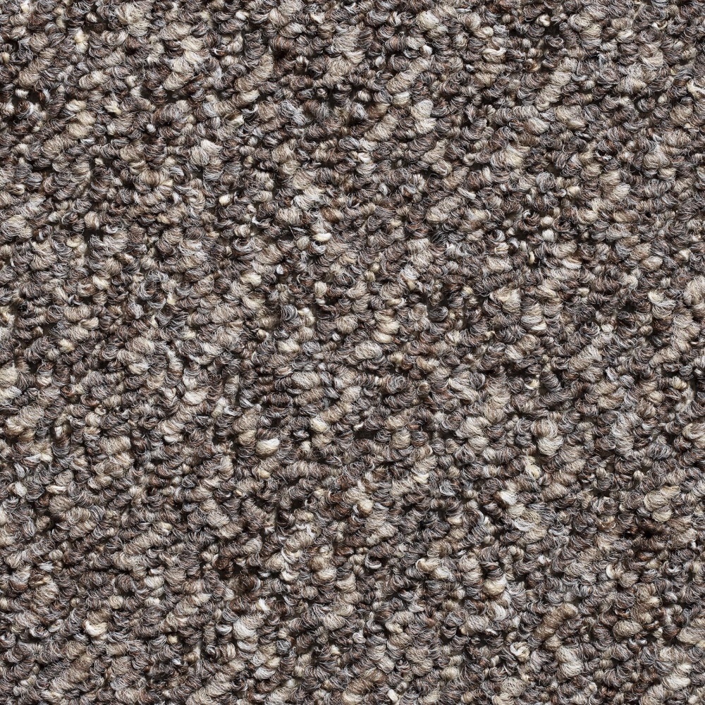 Bonanza Loop Pile Pattern Carpet - Brown 119 Bonanza Loop Pile Pattern Carpet - Brown 119