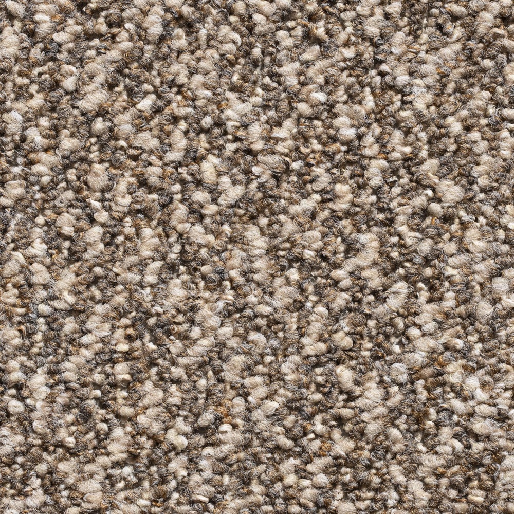 Bonanza Loop Pile Pattern Carpet - Cognac 118 Bonanza Loop Pile Pattern Carpet - Cognac 118