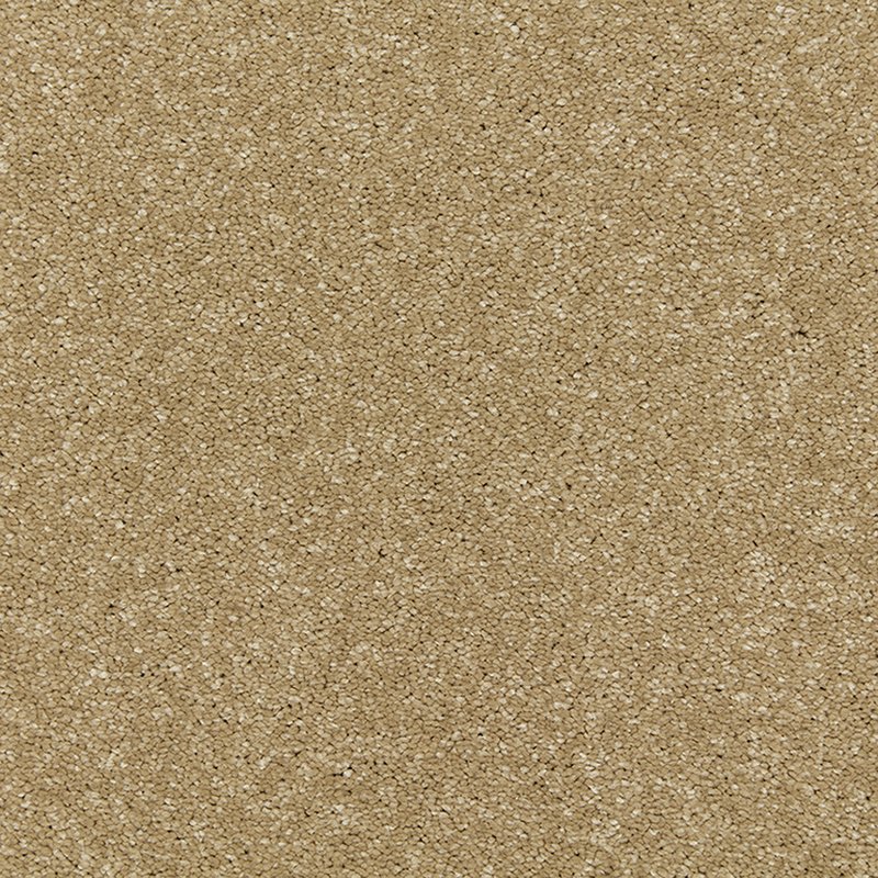 Dolomite Deep Pile Saxony Carpet - Cosmos